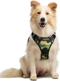 rabbitgoo Dog Harness, No Pull Medium Sized with 2 Leash Clips, Pet Vest | No Choke with Handle, Adjustable Soft Padded, Reflective, Easy Control for Walking, Green Mountain, Medium