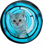 PAWISE Cat Tunnel for Indoor Cats, Collapsible Pet Tube with Peek Hole | Peek hole, tear-proof polyester, 10.5x34.5in, for cats rabbits, blue