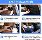 Oiilores Dog Car Seat for Small Dogs, Washable Pet Booster Seats for Car with Clip-On Safety Leash, Reversible Puppy Carseat with Storage Pockets, Travel Carrier Bed for Dogs Under 25 lbs, Blue