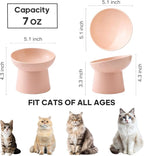 Ceramic Raised Cat Bowls - Elevated Tilted Cat Food and Water Bowls Set, Anti Vomiting and Protect Pets' Spines Pet Feeding Dish for Cats, Dishwasher Microwave Safe (2 x Bowl - Pink)