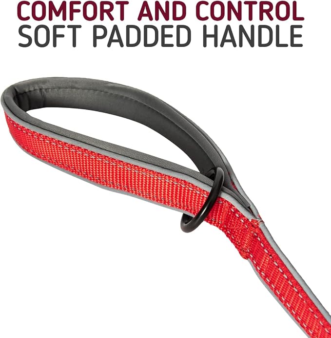 Leashboss 6ft Ultra Comfort Double-Thick Soft Padded Handle Reflective Leash for Large, Medium, and Small Dogs/Puppies | Heavy Duty Nylon