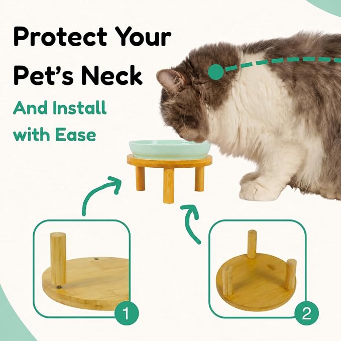 Elevated Ceramic Cat Bowls with Bamboo Stand for Cat Bowl, Whisker Friendly Shallow Cat Plate, Stable Raised Cat Food Riser for Indoor Cats (Green, Set of 1)
