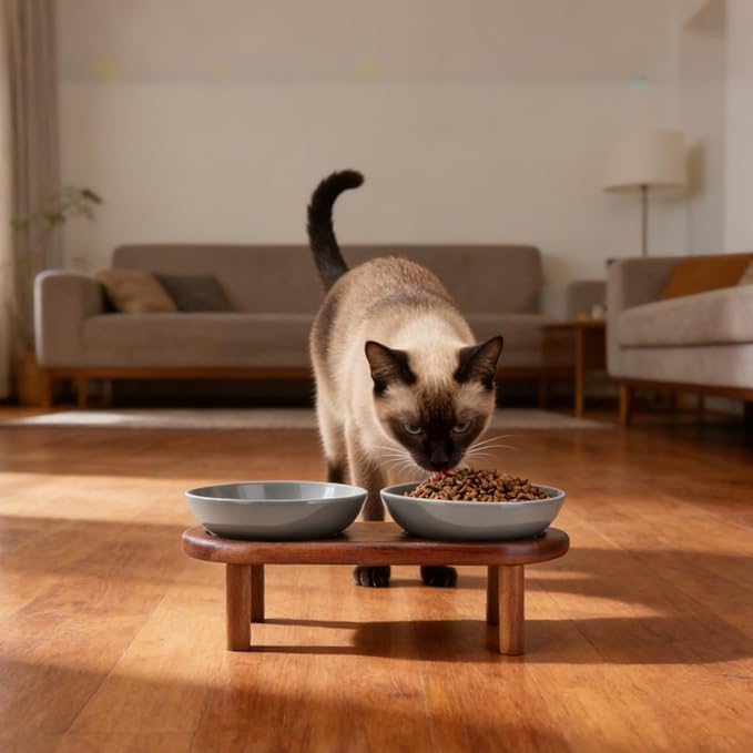 SPUNKYJUNKY Extra Wide Elevated Ceramic Cat Bowl with Acacia Wood Stand Whisker Friendly (Cat Paw Pattern, Gray)
