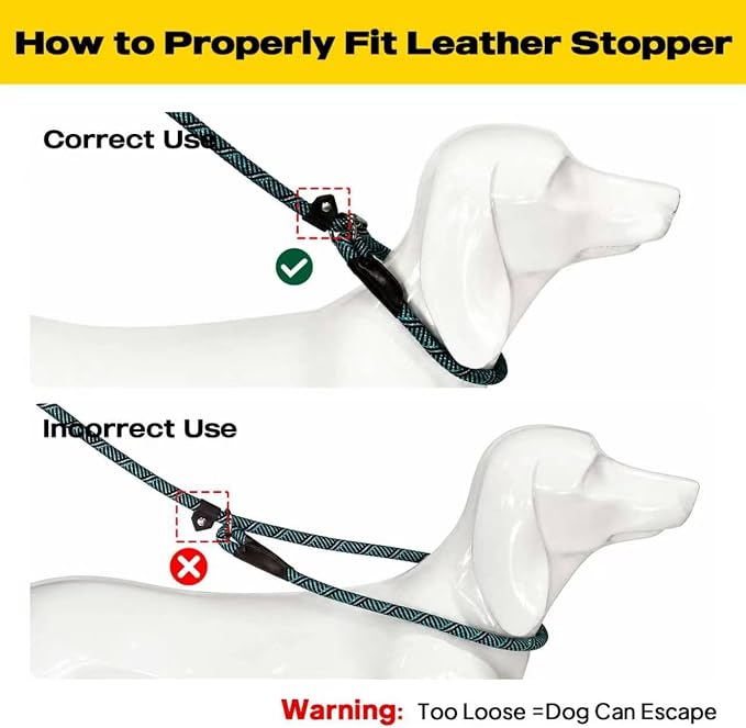 Fida Durable Slip Lead Dog Leash Bulk Pack of 5, Heavy Duty 1/2" x 6 FT Comfortable Strong Rope Slip Lead for Large, Medium & Small Dogs No Pulling Pet Training Leash with Highly Reflective (Blue)