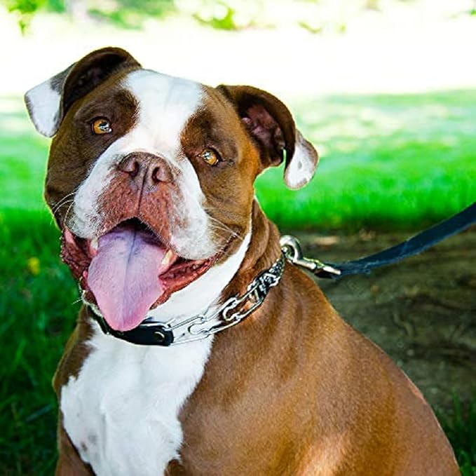Herm Sprenger Prong Collar for Dog Training with Easy Quick Release Buckle - German Made Dog Collar with Chrome Plated Steel 3.0mm Prongs for Large - Extra Large Dogs (20-25" Neck)