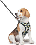 rabbitgoo Dog Harness Medium Sized and Leash Set, Step-in Puppy Pet Vest | Light, Soft, Breathable Air Mesh, Easy on and Remove with Hook & Loop, Secure Reflective for Walking, Midnight Daisy L