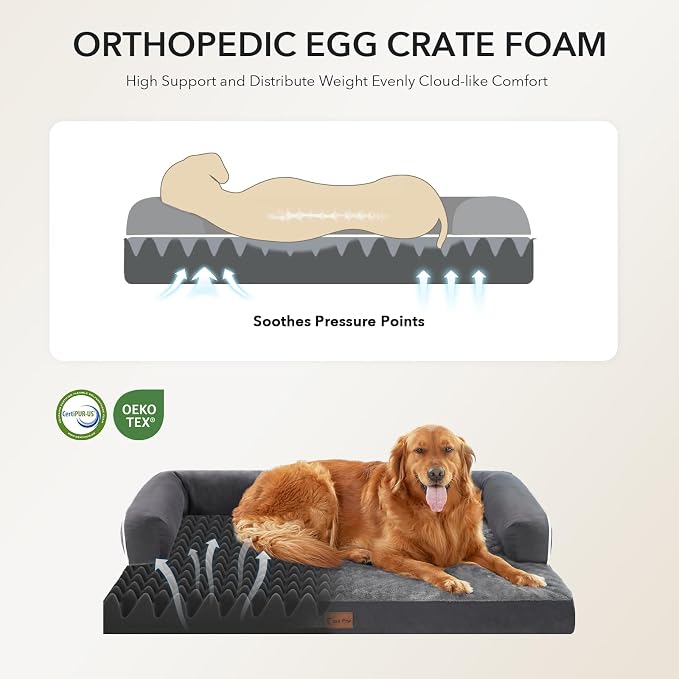 Orthopedic Dog Bed for Extra Large Dogs, Dark Grey, 53x42in | Orthopedic Foam Relieves Joint Pressure, Bolsters Supports Head And Neck, Washable Cover, Non-Slip Bottom