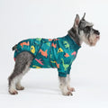 Spark Paws Dog Surgery Recovery Suit – Dog Recovery Suit After Surgery, Anti-Lick Dog Onesie, Abdominal Wound Protector, Soft Cone Alternative for Spay Neuter Male Female Pet Recovery - Dinosaurs - M