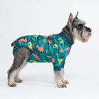 Spark Paws Dog Surgery Recovery Suit – Dog Recovery Suit After Surgery, Anti-Lick Dog Onesie, Abdominal Wound Protector, Soft Cone Alternative for Spay Neuter Male Female Pet Recovery - Dinosaurs - M