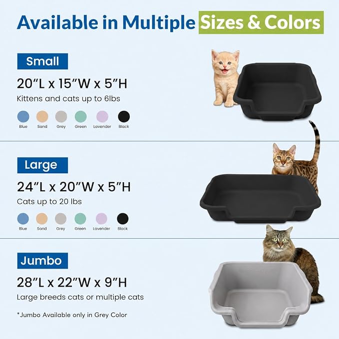 KittyGohere Senior Cat Litter Box Small with Scoop, Black | Open Top Low Entrance Kitty Litter Box With With Long-handle Jumbo Scoop, Lightweight & Durable Litters Box, Made in USA