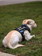Auroth Tactical Dog Training Harness No Pulling Front Clip Leash Adhesion Reflective K9 Pet Working Vest Easy Control for Small Medium Large Dogs Blue Camo M