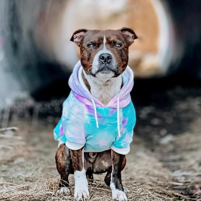 Spark Paws Dog Hoodie – Premium Dog Sweater for Small, Medium, and Large Dogs | Warm Outfits for French Bulldogs, Pitbull, Puppy, Winter Jacket Alternative - 90s Retro Sky Dye - 2XL