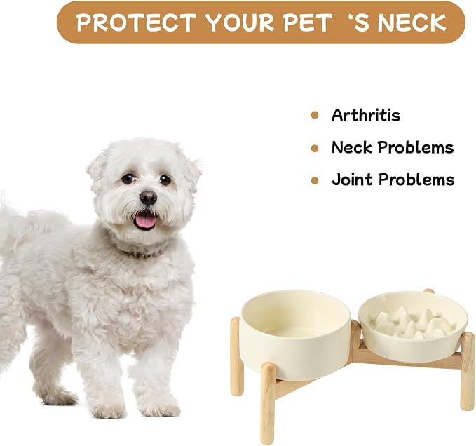 Havniva Elevated Slow Feeder Dog Bowls, Ceramic Dog Bowl Slow Feeder Set | 0.9 Cups Raised Slow Feeding Bowl for Small Breed, 6.1” Dog Water Bowl with Wooden Stand, Puzzle Dog Slow Feeder, Non-slip