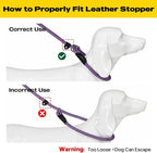 Fida Durable Slip Lead, 6 FT x 1/2" Heavy Duty Rope Leash for Large, Medium Dogs, No Pull Pet Training Leash with Highly Reflective, Purple