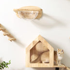 FUKUMARU Cat Wall Furniture Set, Transparent Capsule with 2 PCS Pedals | Kitten Walls Shelves, Premium Kitty Bed, For Sleeping, Playing, Climbing, Lounging, Holds Up to 35 Lbs