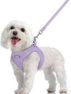 rabbitgoo Dog Harness Small Sized and Leash Set, Step-in Puppy Pet Vest | Light, Soft, Breathable Air Mesh, Easy on and Remove with Hook & Loop, Secure Reflective for Walking, Light Purple M