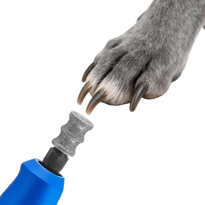 Dog Nail Grinder Bits for Dog and Cat Pet Nail Grinder Attachment Pet Nail File & Clippers for Medium Large Dogs B (2Pack)