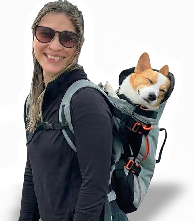 Little Chonk Maxine One Dog Backpack Carrier for Medium Dogs (Gray) | Adjustable & Ergonomic Pet Carrier, Built to be Safer, Hands Free Travel & Hiking, Front Facing, Featured in Wired Magazine