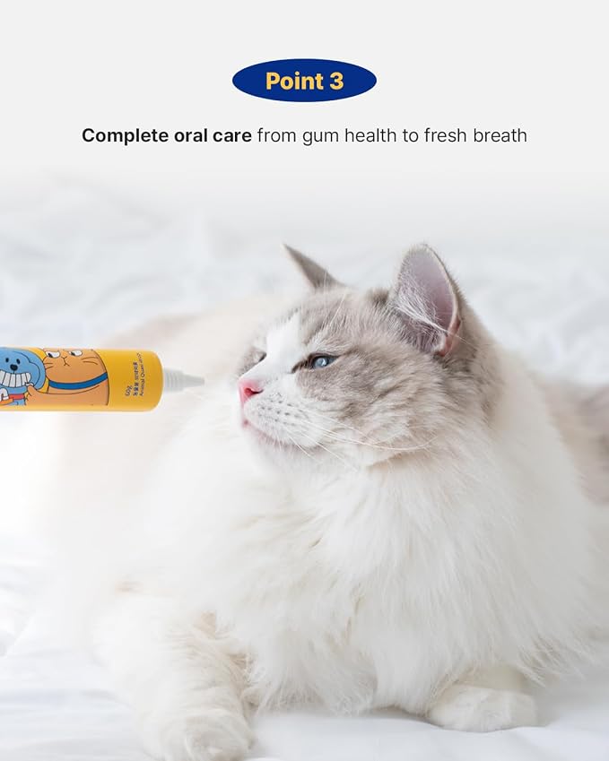 PETHROOM Pet Dental Solution Toothpaste for Dog & Cat, Sweet Potato Flavor | Enzymatic Toothpaste for Fresh Breath & Plaque Control, Gentle Daily Dental Care, Net Wt 2.1 oz