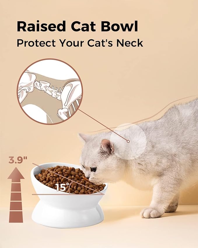 LoeJan Elevated Cat Food Bowl, 5 Oz Ceramic Raised and Tilted Water Bowl, Anti Vomiting and Protect Pets' Spines Dishes for Small Dog, Fat Faced Cat, Kitten (White, 2 Pack)