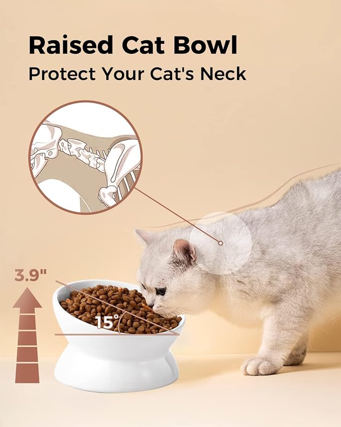 LoeJan Elevated Cat Food Bowl, 5 Oz Ceramic Raised and Tilted Water Bowl, Anti Vomiting and Protect Pets' Spines Dishes for Small Dog, Fat Faced Cat, Kitten (White, 3 Pack)