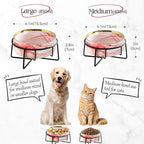 Dazzling Ceramic Elevated Cat Bowls, Gift for Cat Owner, Birthday (Medium,Grey)