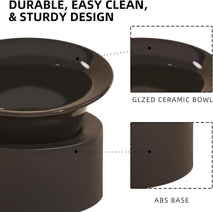 Raised Cat Bowls Set - Ceramic Dishes with Non-Slip Stand, 9° Tilted, Lead & Cadmium Free, for Small Dogs and Cats, 6.5" Wide - 2 x 320ML (10.8 oz), Black