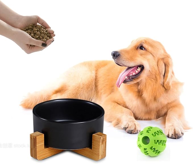 Petygooing Ceramic Black Cat Dog Bowl Set with Stand,Pet Food and Water Dish,Medium Pet Bowls Anti-Slip Set of 2 Cat Bowls-Pet Food Dishes- Small Medium Size Dog (28 OZ /3.6 Cups)