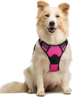 rabbitgoo Dog Harness, No Pull Medium Sized with 2 Leash Clips, Pet Vest | No Choke with Handle, Adjustable Soft Padded, Reflective, Easy Control for Walking, Hot Pink, Medium