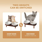 Havniva Elevated Cat Bowls, Ceramic Cat Bowl with Wood Stand, Wide Opening | 5.7” Raised Cat Food Bowls, Whisker Friendly Cat Dish, Anti-Slip Cat Water Bowls, Shallow Cat Bowls, Cat Food & Water Bowl