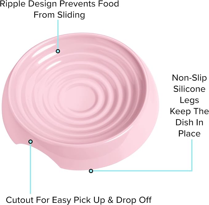 CatGuru Cat Bowls, Whisker Friendly Food Bowl for Indoor Cats, Reliefs Whisker Fatigue, Wide Kitten Dish, Non Slip Pet Dishes, Shallow Pet Plates (Pink, (Pack of 2))