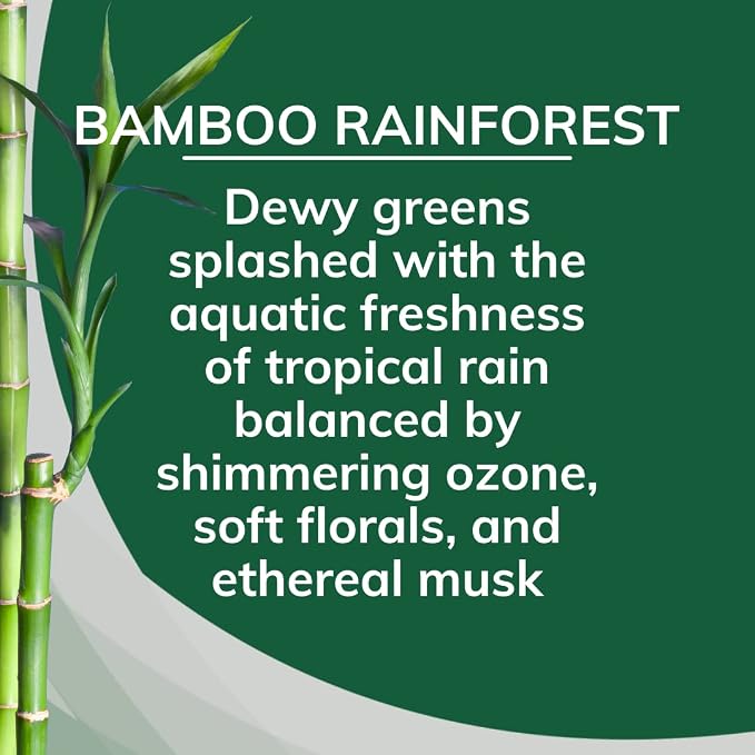 Citrus Magic Solid Air Fresheners, Bamboo Rainforest, 8 Ounce, Pack of 3 | Odor Absorbing, Passive Diffusion, Odor Elimination Up to 4 Weeks Each, Ideal for Home