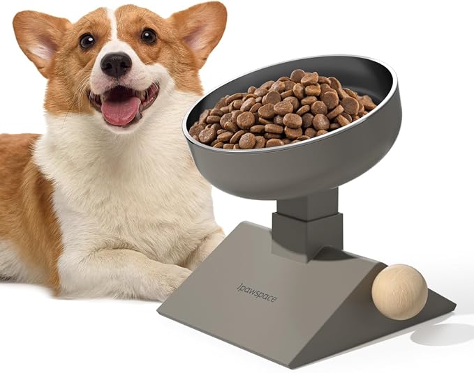 Raised Cat Bowl,Elevated Cat Bowl Stand with 3-Level Height,Grey | 25 OZ Large Capacity,304 Stainless Steel,5.6''/6.2''/6.8'' Height Elevated,0-17.5° tilt Neck-Friendly,Cats and Puppy