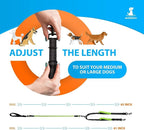 SparklyPets Double Dog Leash for 2 Dogs – Rope Bungee Dual Leash for Medium and Large Breeds with Padded Handles & Tangle Free (Green, Medium/Large)