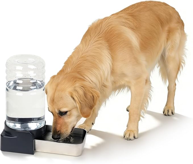 PAKEWAY 1.6 Gallon Gravity Dog Water Dispenser, Automatic Pet Waterer with Stainless Steel Bowl, Transparent Tank and 3 Filters for Medium Dogs and Cats, 6.1L