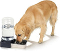 PAKEWAY 1.6 Gallon Gravity Dog Water Dispenser, Automatic Pet Waterer with Stainless Steel Bowl, Transparent Tank and 3 Filters for Medium Dogs and Cats, 6.1L