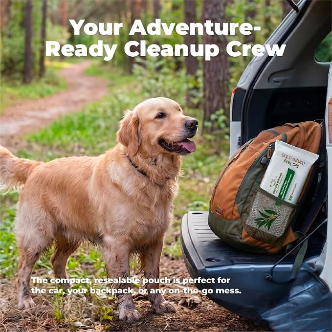 Best Pet Supplies Cleaning Dog Wipes - Cleansing Tea Tree, 100 Count | Tea Tree Scented, Large 8x9" Pet Wipes, Vitamin E, Puppy & Cat Safe, Gentle Grooming, Resealable Pouch Prevents Drying