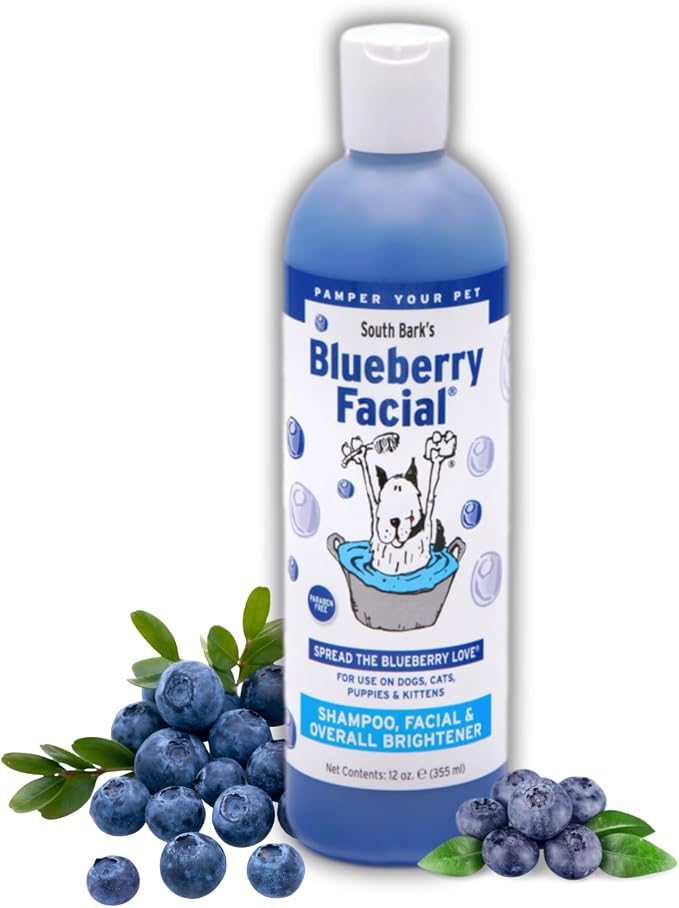 South Bark's Blueberry Facial® Pet Shampoo 12 oz. | Brightener & Tear Stain Remover | Long-Lasting Odor Eliminator | Cruelty-Free | Paraben-Free | Made in The USA