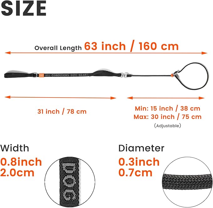 HowGo Slip Lead Dog Leash, 360°Swivel Anti-Tangle (MintGreen 5.5FT) | Traffic Handles Heavy-Duty Training Fur Stuck Free,Lightweight Aluminum Nylon,No-Pull Walking,All Breeds, Dog Trainer