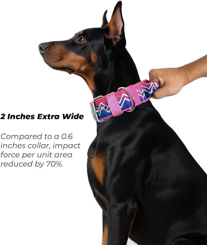 Dog Collar for Large Dogs,2 in Wide Heavy Duty,Pressure-Relief Padded, B-M | Professional Protection for Large and Giant Breeds,Handle for Control,Stainless Steel Buckle Ultra Safety,20-23 in