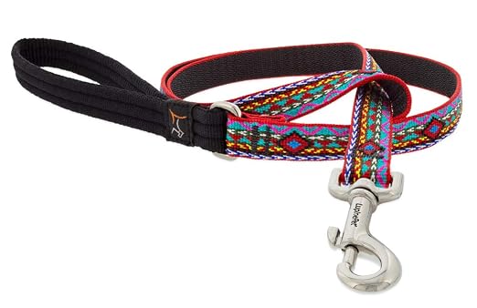 Dog Leash by Lupine 3/4" Wide El Paso Design 6-Foot Long with Padded Handle