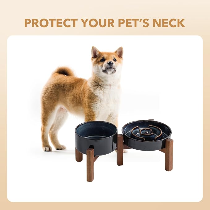 Havniva Raised Slow Feeder Dog Bowls, Elevated Dog Bowls Slow Feeder Set | 1.2 Cups Ceramic Dog Bowl Elevated with Acacia Wood Stand, Raised Dog Food Bowl, Puzzle Slow Feeder for Small Dogs, Non-Slip