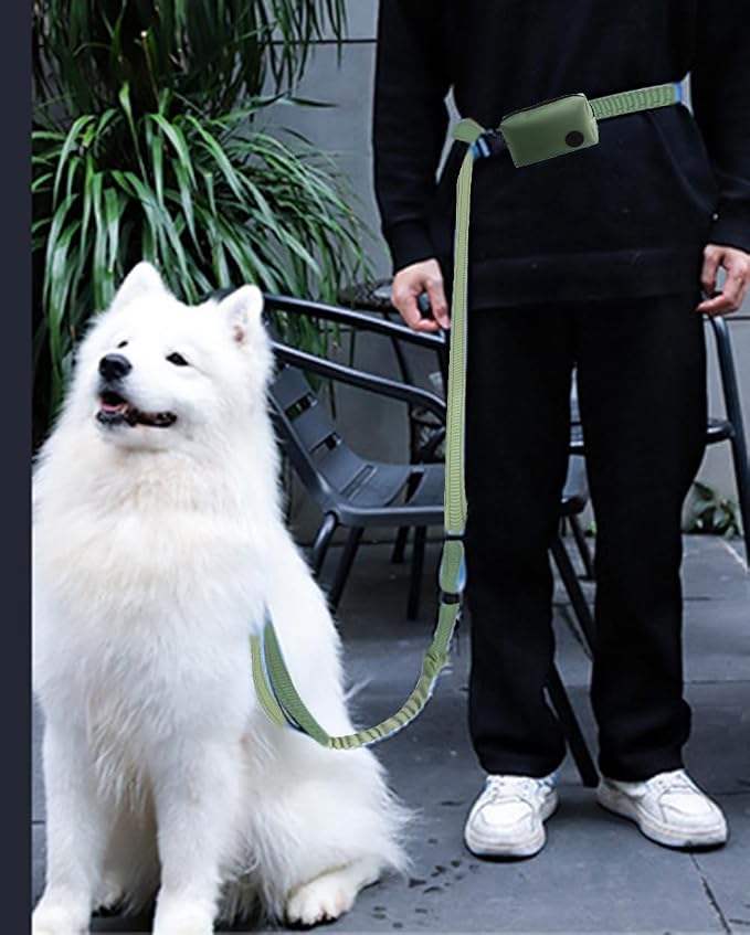 Hands Free Dog Leash for Large Medium Dogs Heavy Duty Bungee Reflective Adjustable Waist Leashes for Walking Running with Zipper Pouch 6-9FT (Green-1 with 6-9FT)