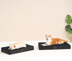 EHEYCIGA Orthopedic Dog Bed Large with Removable Washable Cover,Black,36x27 | Egg Crate Foam Support,Durable Oxford fabric,Non-Slip Bottom,Machine Washable,Soft Waterproof Plush Pet Bed Mat For Crate
