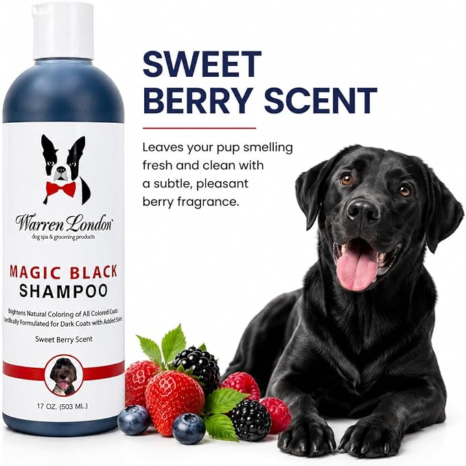Warren London Magic Black Dog Shampoo – Brightening Shampoo for Dark Coats, Berry Scent, Puppy & Cat Safe, Made in USA, 17 oz