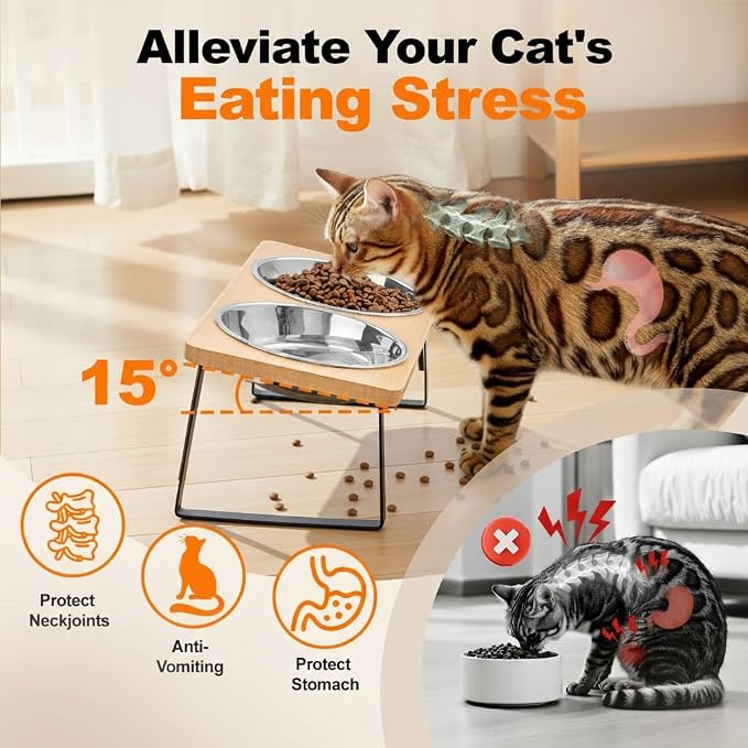 Elevated Cat Food Bowl for Indoor Cats, Raised Water Bowl Set for Kitten | Whisker Friendly, Anti Vomit, Easy Assembly, Bamboo, Dishwasher Safe, Stainless Steel, Pet Dish, Feeding Station for Puppy