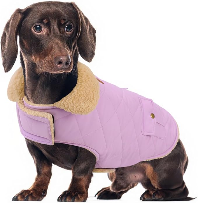 Winter Coat for Medium Dogs, Dog Plaid Jacket, Pets Coat for Cold Weather, Windproof Warm Garments, Pet Thickened Outfits Indoor Outdoor, Lilac M