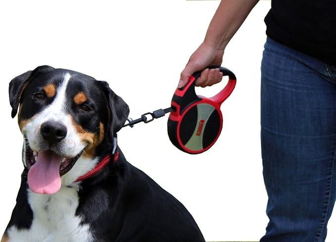 Alcott Kong Terrain Retractable Dog Leash, Large, Blue, 16' Long