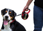 Alcott Kong Terrain Retractable Dog Leash, Large, Blue, 16' Long