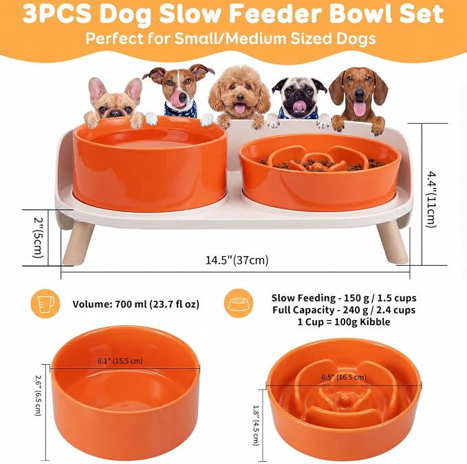 Elevated Slow Feeder Dog Bowls with Splash Proof Stand, Slow Eating 5X | 6.5″ Dog Slow Feeding Bowls & 6.1″ Dog Food Dish, Non-Slip Raised Food and Water Bowl Set for Small and Medium Breeds, Orange
